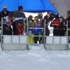 2008_lenk21.jpg