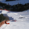 p1010057.jpg