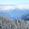 n1009368413_89864_3382.jpg