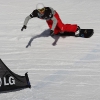 bad_gastein_snowboardcross_wc09_one19.jpg
