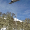 Chapelco SBX Qualification Mario Fuchs AUT